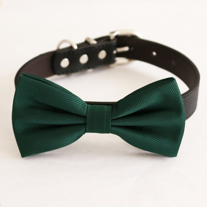 Emerald green satin dog bow tie collar with black vegan leather collar and silver-tone hardware