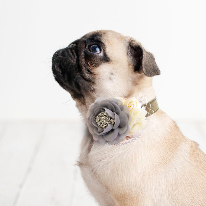 Pug wearing a gray and ivory floral dog collar featuring chiffon flower, crystal brooch, pearl accents, and decorative veil.