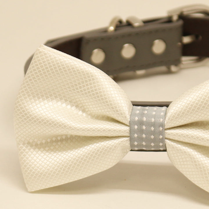 Close-up of ivory white dog bow tie with textured satin fabric and gray polka dot center accent