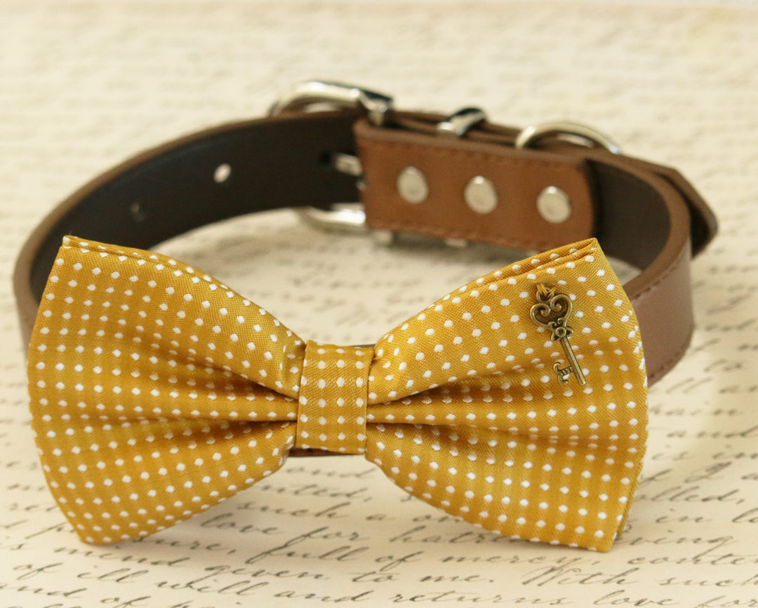 Mustard yellow polka dot dog bow tie collar with vintage key charm and brown vegan leather collar