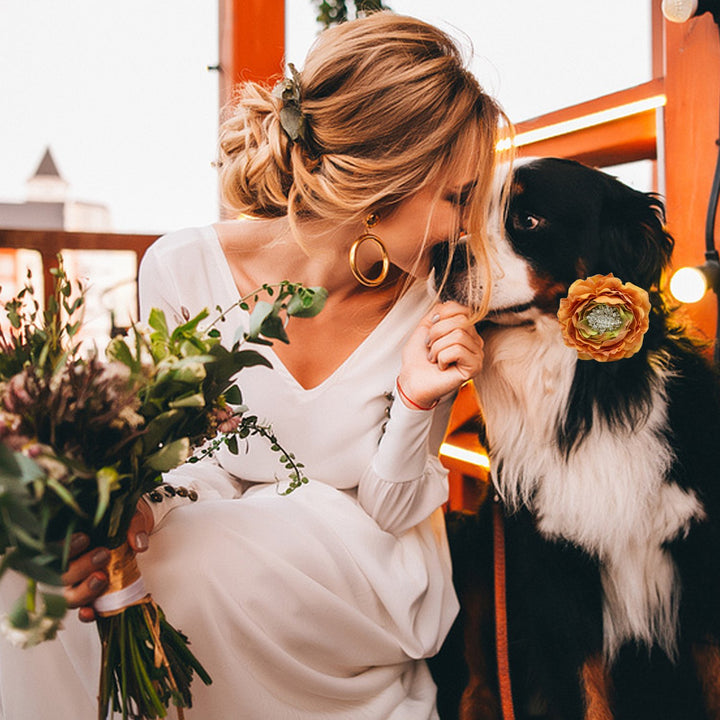 Dog wearing rust orange flower collar featuring layered petals, sparkling crystal center, and elegant wedding-inspired design