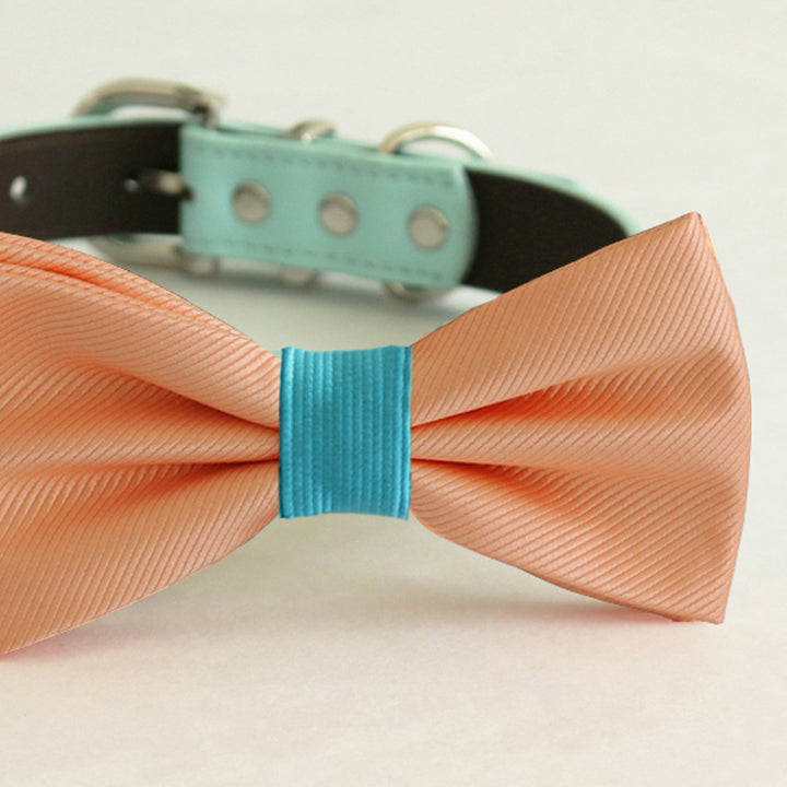 Close-up of peach dog bow tie with turquoise center band attached to a turquoise vegan leather collar.