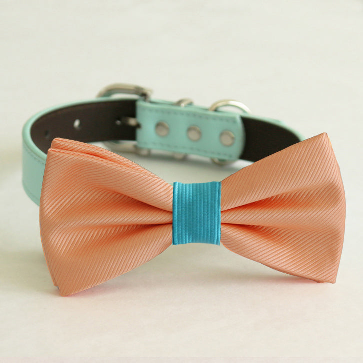 Peach dog bow tie collar with turquoise center band and matching turquoise vegan leather collar displayed on a light background.
