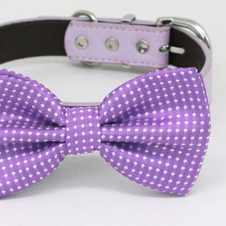 Close-up view of a purple polka dot dog bow tie with lilac vegan leather collar.