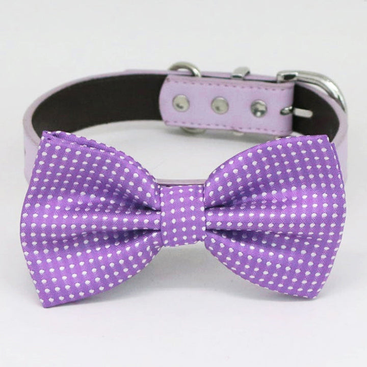 Purple polka dot dog bow tie attached to a lilac vegan leather dog collar.