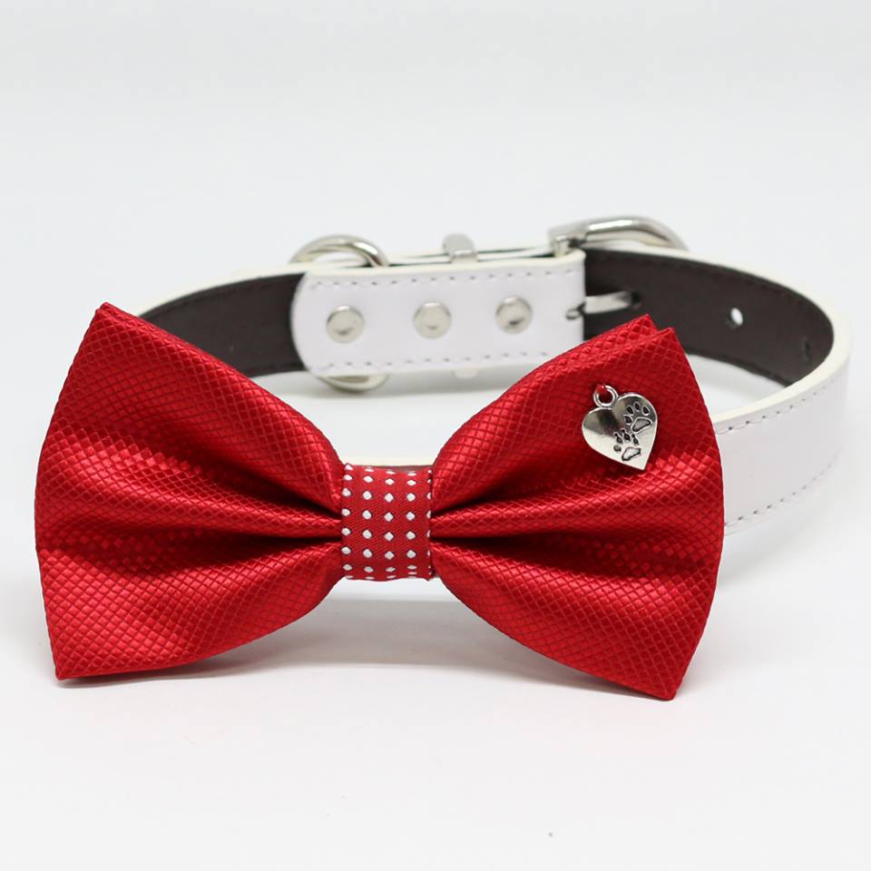 Red metallic dog bow tie collar with paw print heart charm and white vegan leather collar.