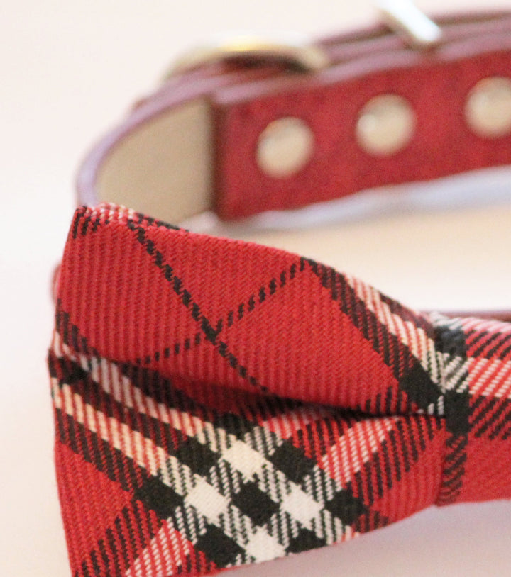 Close-up detail of a red tartan plaid dog bow tie with black and white pattern accents.