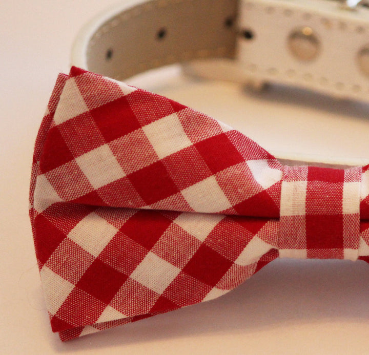Close-up view of a red and white gingham dog bow tie attached to a white vegan leather collar.