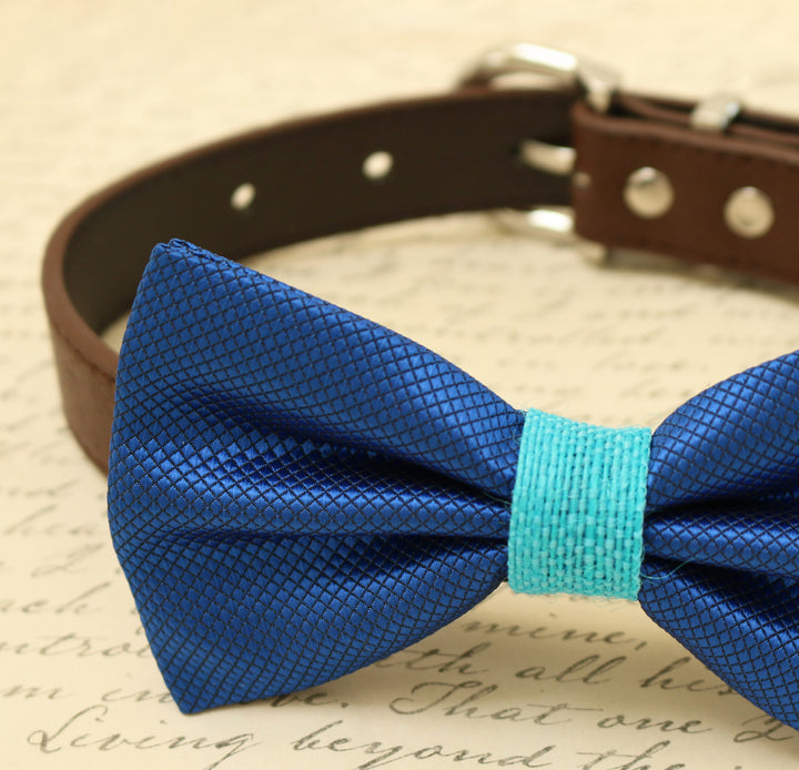 Royal blue textured dog bow tie with aqua center accent attached to a brown vegan leather collar.