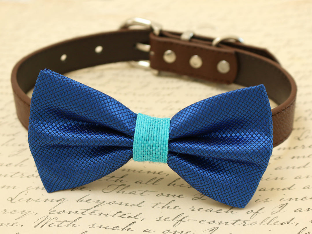 Royal blue textured dog bow tie collar featuring an aqua center band and adjustable brown vegan leather collar.