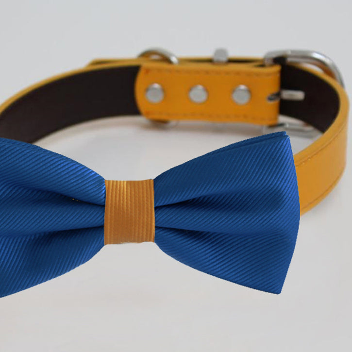 Royal blue dog bow tie with gold center accent attached to a yellow vegan leather collar.