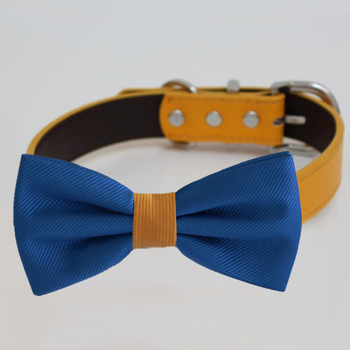 Royal blue dog bow tie collar featuring a gold center band and adjustable yellow vegan leather collar.