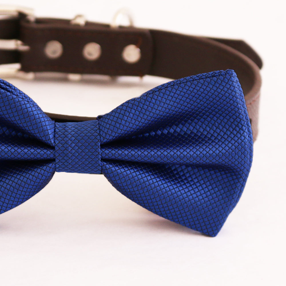 Royal blue textured dog bow tie attached to a dark vegan leather collar.