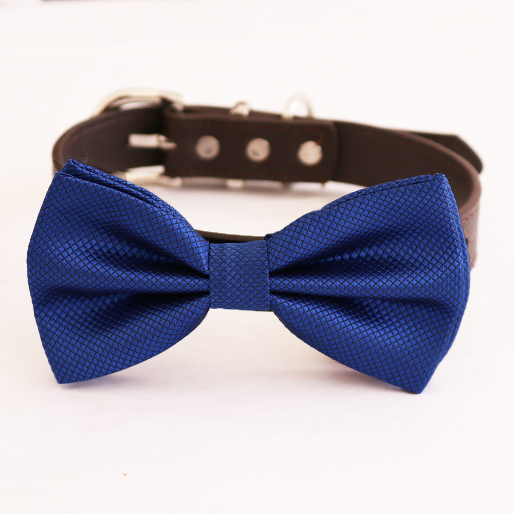 Royal blue textured dog bow tie collar with adjustable dark vegan leather strap and silver-tone hardware.