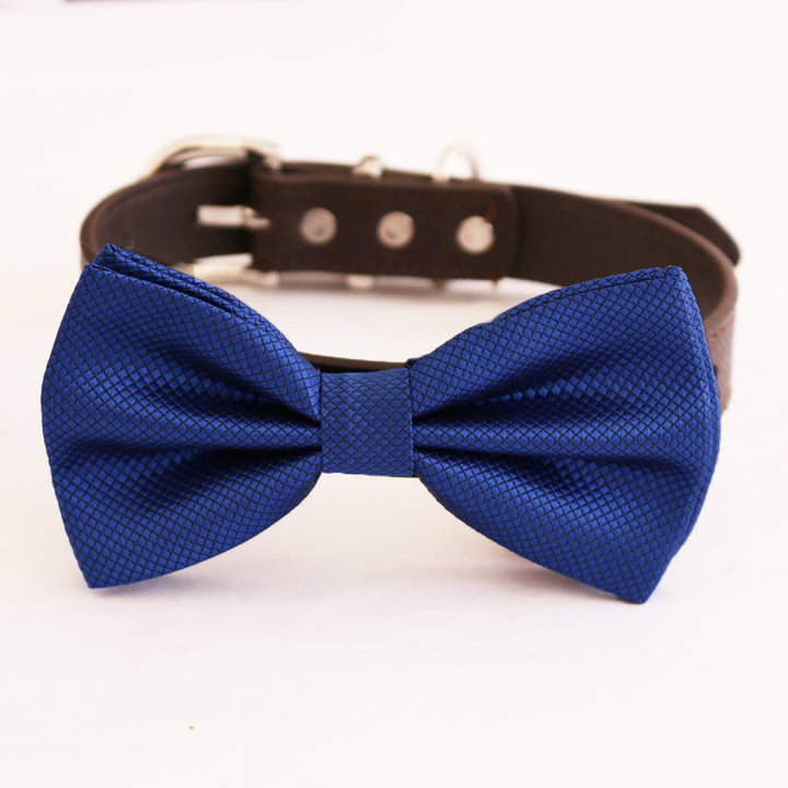 Royal blue textured dog bow tie collar with adjustable dark vegan leather strap and silver-tone hardware.