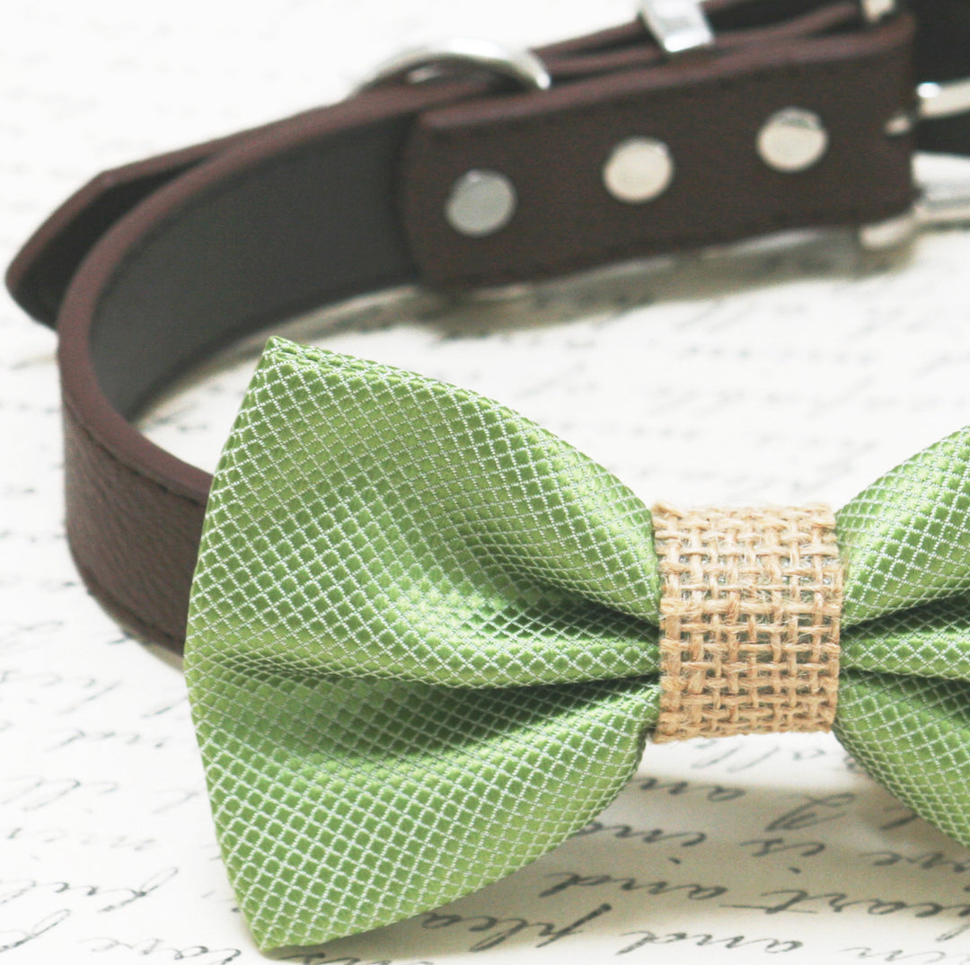 Sage green textured dog bow tie with a burlap center band attached to a brown vegan leather collar.
