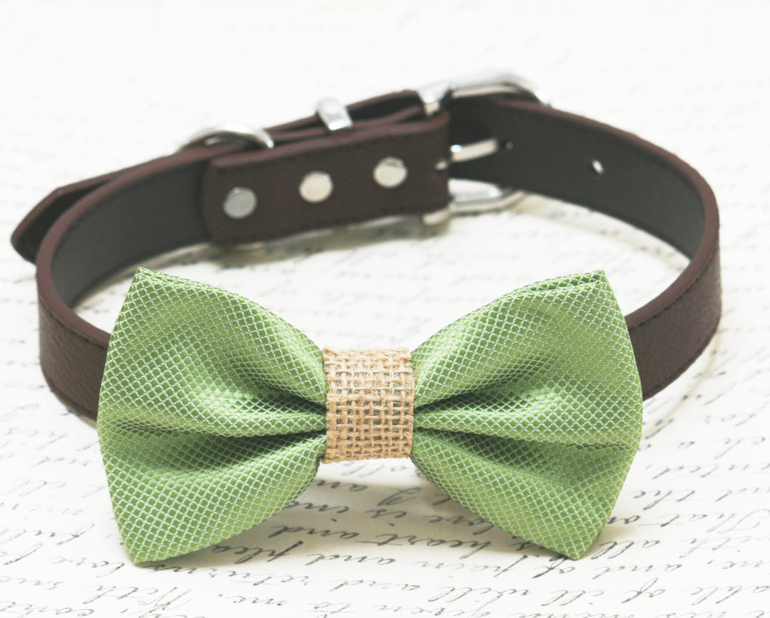 Sage green dog bow tie collar featuring a burlap center accent and brown vegan leather collar with silver-tone hardware.