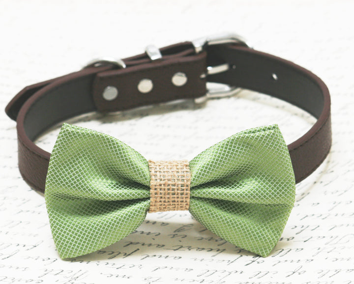 Sage green dog bow tie collar featuring a burlap center accent and brown vegan leather collar with silver-tone hardware.