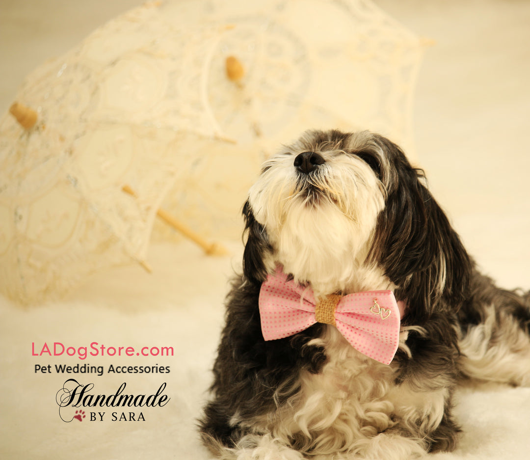 Shih Tzu wearing a pink burlap dog bow tie with silver double heart charm for weddings and special occasions.