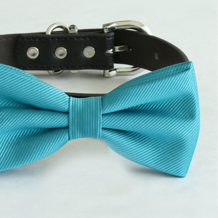 Close-up of a turquoise blue dog bow tie attached to a black vegan leather collar.