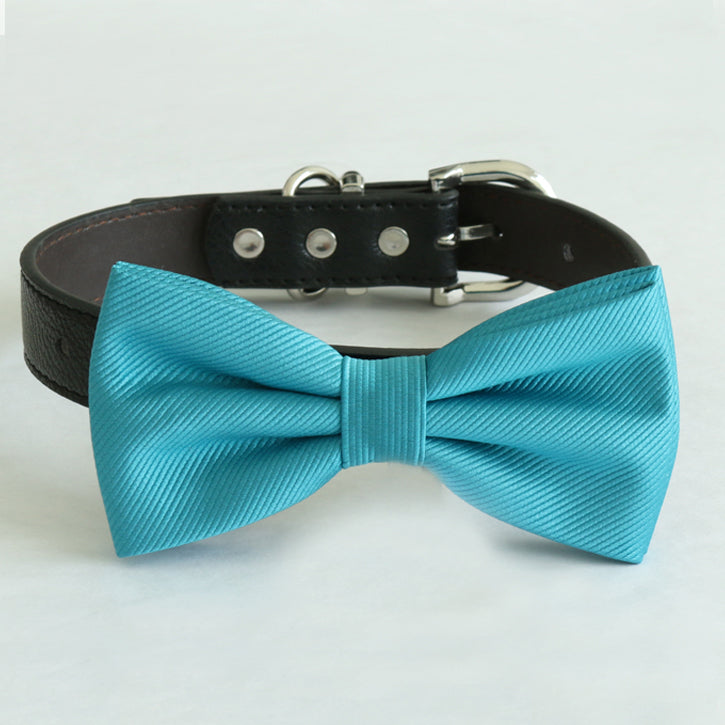 Turquoise blue dog bow tie collar with black vegan leather strap and silver-tone hardware.