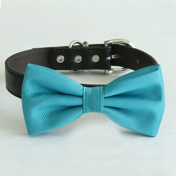 Turquoise blue dog bow tie collar with black vegan leather strap and silver-tone hardware.