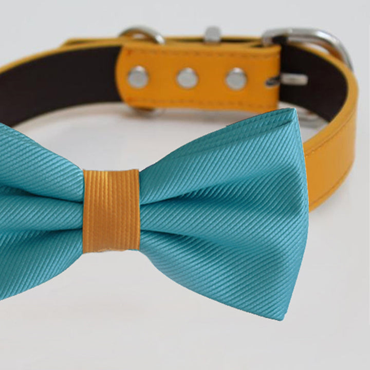 Close-up of a turquoise blue dog bow tie with yellow center accent on a matching yellow collar.