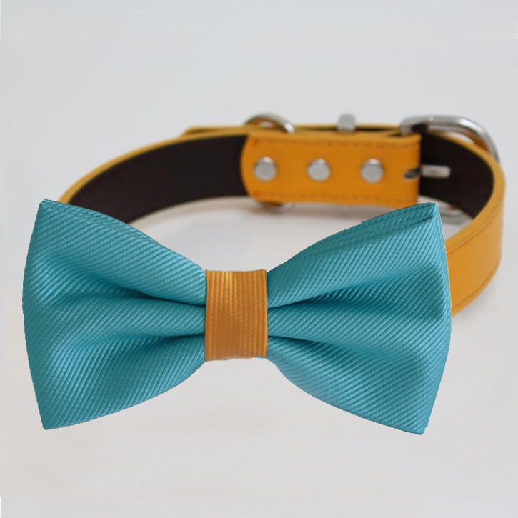 Turquoise blue dog bow tie collar featuring a yellow center band and yellow vegan leather collar.