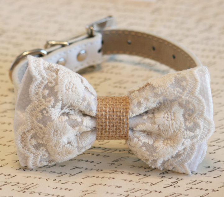 White lace dog bow tie collar with floral embroidered lace, burlap center accent, and adjustable vegan leather collar displayed on a vintage script background