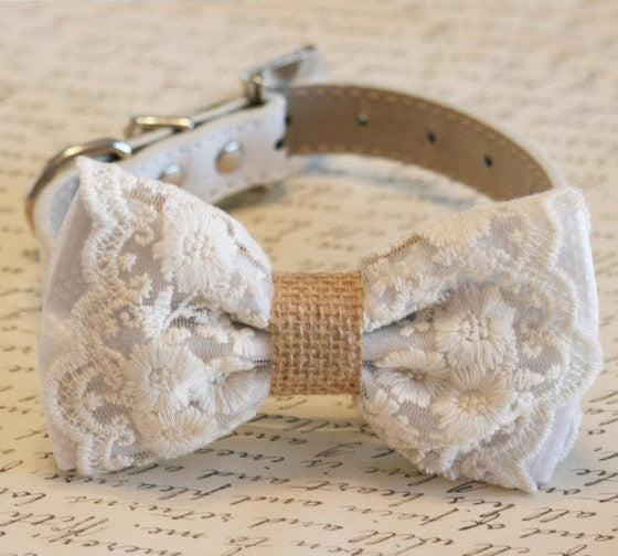 White lace dog bow tie collar featuring floral embroidered lace, burlap center accent, and adjustable vegan leather collar displayed on a vintage script background