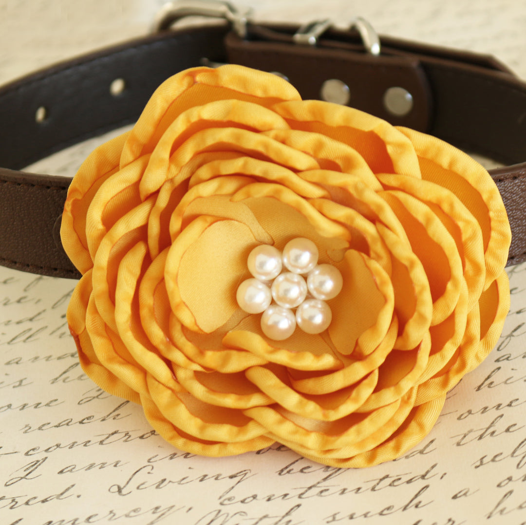 Yellow floral dog collar with layered fabric flower and pearl center on a brown vegan leather collar