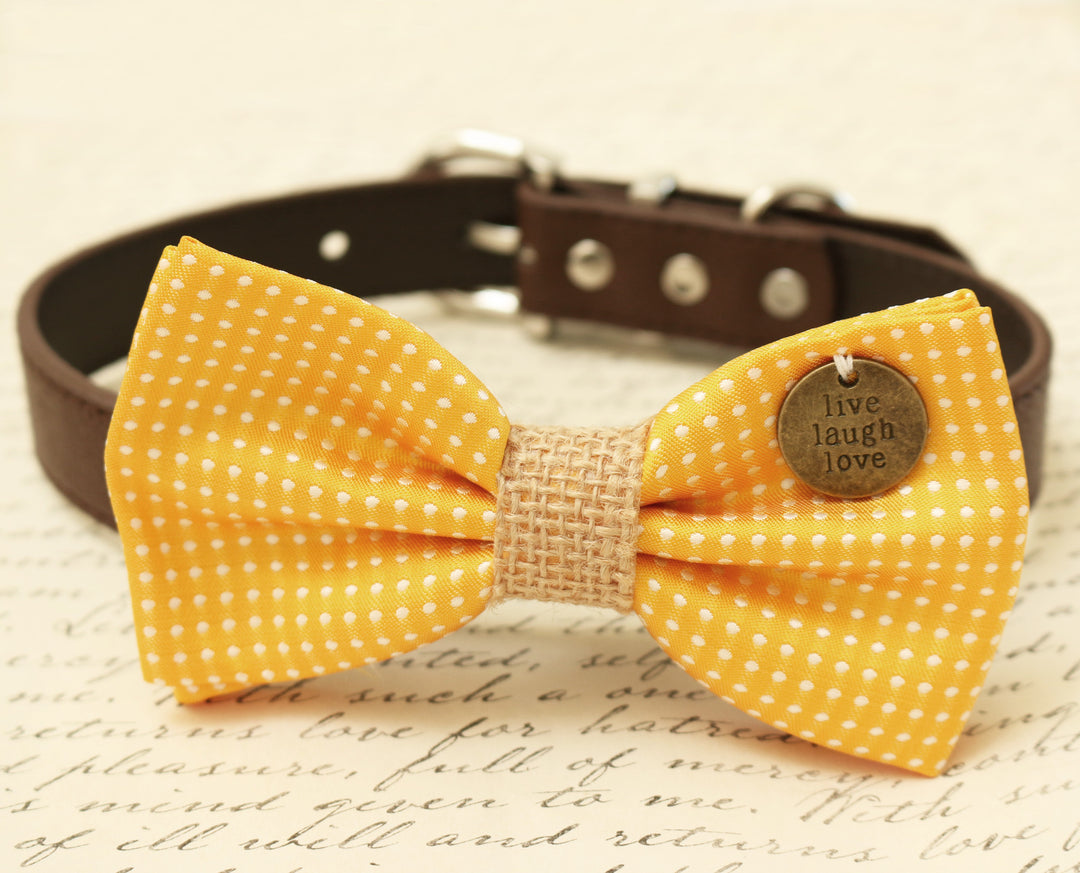 Yellow polka dot dog bow tie collar with burlap center accent, live laugh love charm, and brown vegan leather collar.
