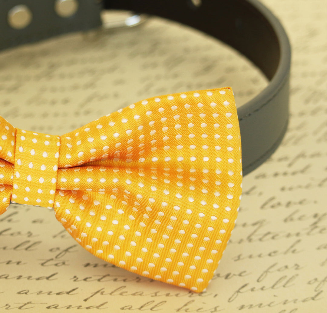 Close-up of a yellow polka dot dog bow tie attached to a black vegan leather collar.