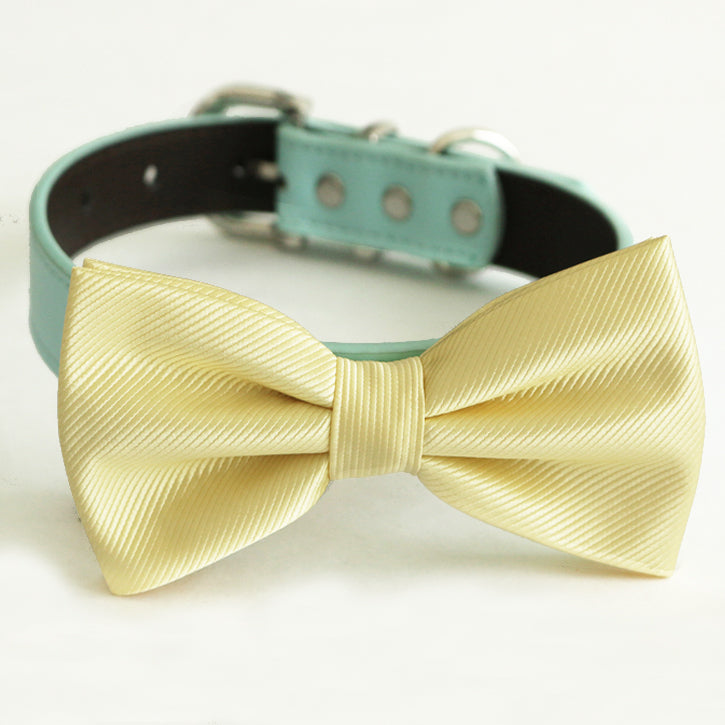 Yellow satin dog bow tie attached to a mint vegan leather dog collar with adjustable fit and polished hardware