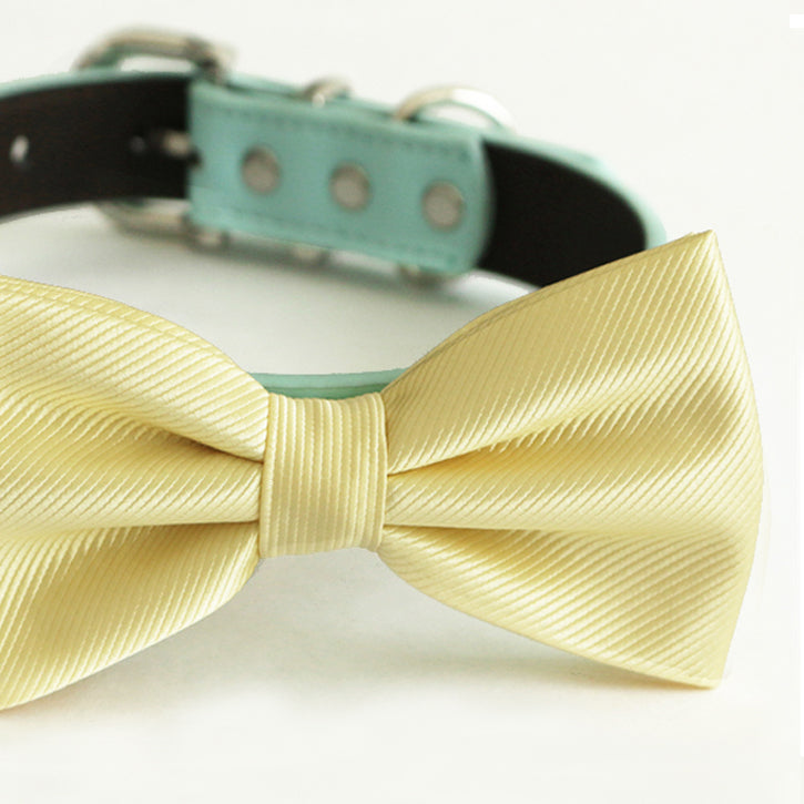Yellow satin dog bow tie collar with mint vegan leather collar and silver-tone hardware