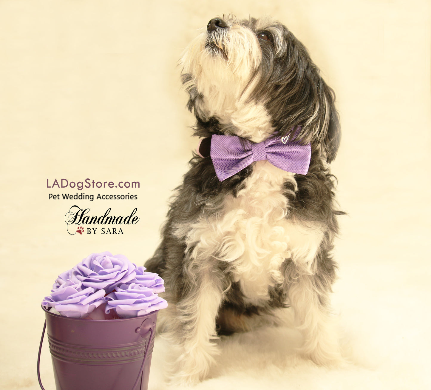 Lavender dog Bow tie attached to collar, Purple wedding accessory , Wedding dog collar