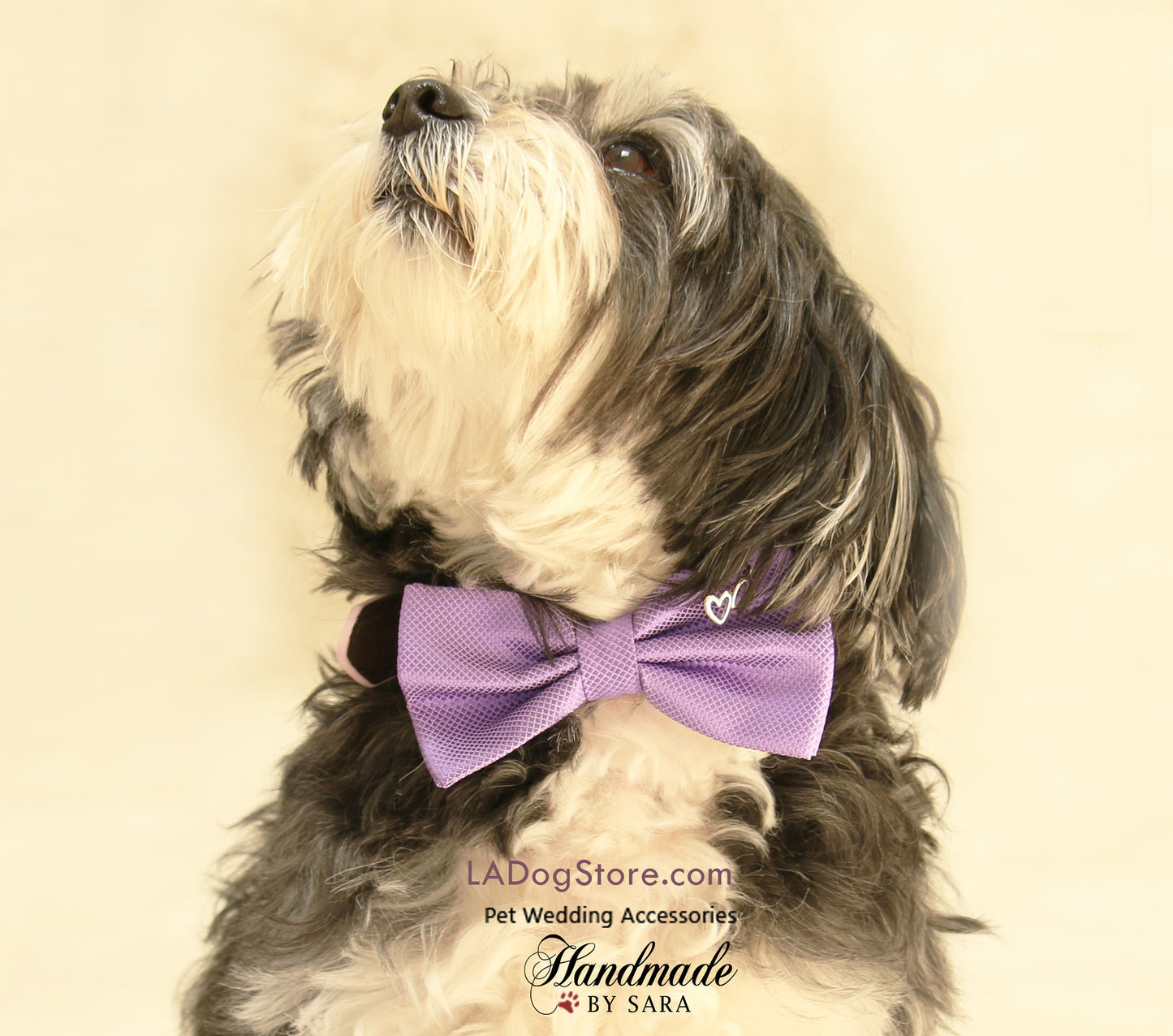 Lavender dog Bow tie attached to collar, Purple wedding accessory , Wedding dog collar