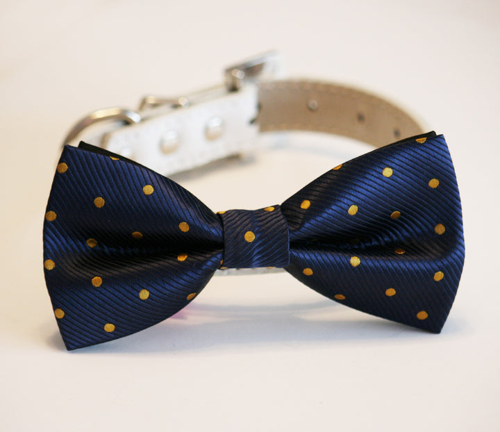 Navy and Gold Polka dots dog bow tie wedding, Dog Lovers, Dog birthday gift , Wedding dog collar