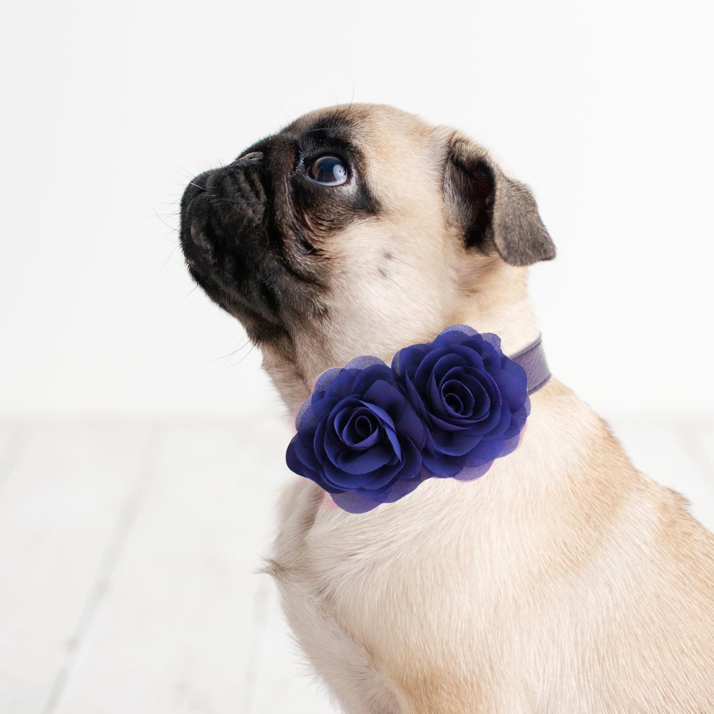 Navy Flower dog collar, Handmade flower leather collar, Dog ring bearer proposal XS to XXL collar, Puppy Girl flower collar , Wedding dog collar