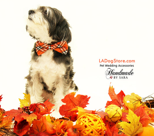 Plaid orange dog bow tie collar, dog lovers, pet accessory , Wedding dog collar