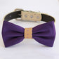 Purple Cream bow tie collar Dog ring bearer dog ring bearer XS to XXL collar and bow tie, Puppy bow tie leather adjustable dog collar , Wedding dog collar