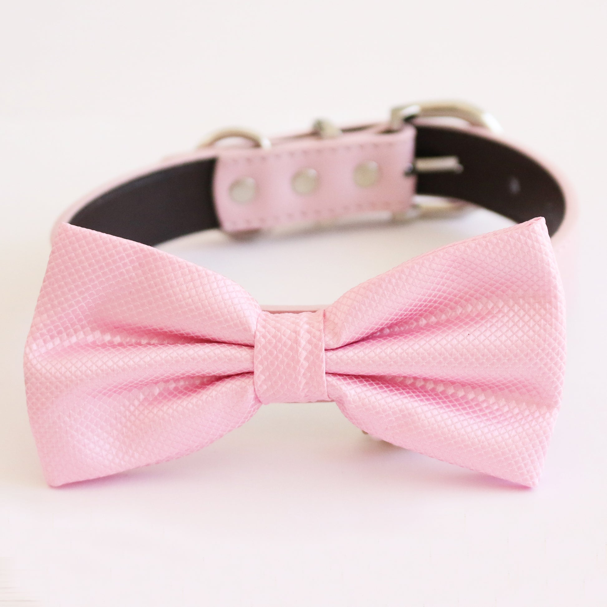 Extra-small pet collar in pastel pink