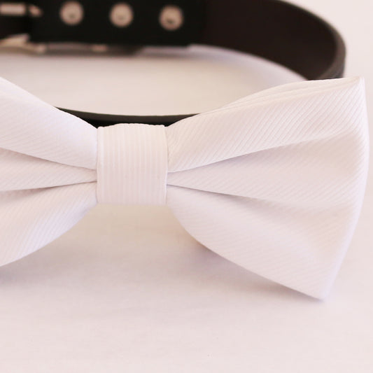White bow tie collar XS to XXL collar and bow tie, adjustable, Puppy bow tie, handmade, Dog ring bearer ring bearer , Wedding dog collar
