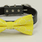 Yellow Floral dog bow tie collar, Spring wedding, bow attached to collar , Wedding dog collar