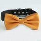 Burnt orange bow tie collar XS to XXL collar and bow tie, adjustable, Puppy bow tie, handmade, Dog ring bearer ring bearer, rust orange , Wedding dog collar